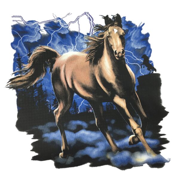 Wild Horse Thumbnail