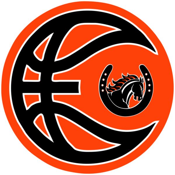 Pacers BB 2020 Ball Thumbnail